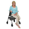 Picture of Stander EZ Fold-N-Go Rollator